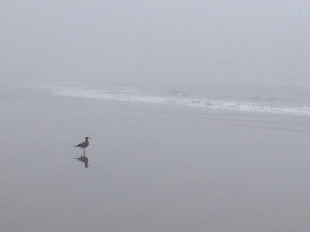 Agate Beach