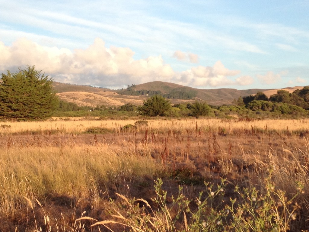 Half Moon Bay Coast