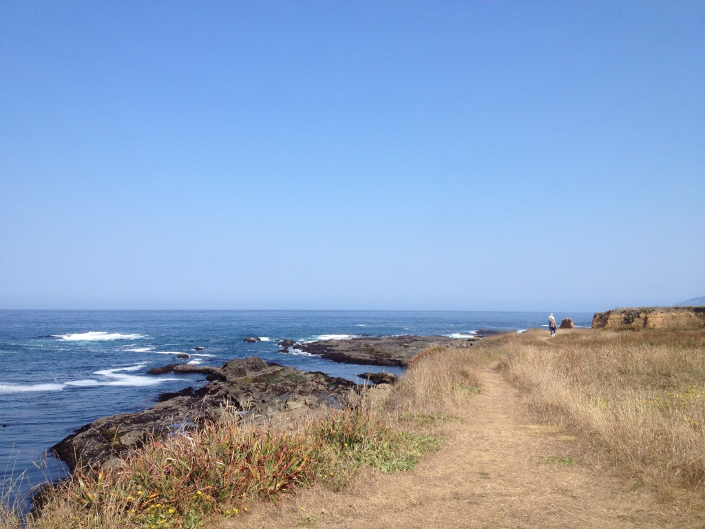 N. Calif coast